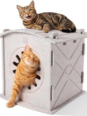 Cat House